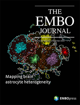 <i>The EMBO Journal</i> Academic journal