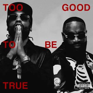 <i>Too Good to Be True</i> (Rick Ross and Meek Mill album) 2023 album by Rick Ross and Meek Mill