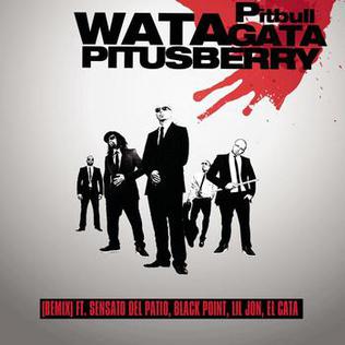 <span class="mw-page-title-main">Watagatapitusberry</span> 2010 single by Pitbull featuring Sensato del Patio, Black Point, Lil Jon and El Cata