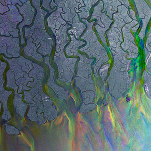 <i>An Awesome Wave</i> 2012 studio album by alt-J