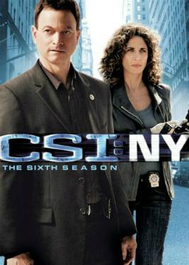 <i>CSI: NY</i> (season 6) Season of television series