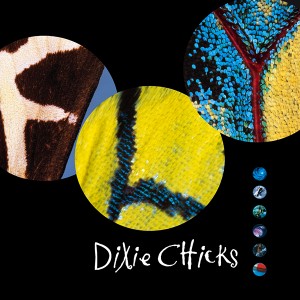 <i>Fly</i> (Dixie Chicks album) 1999 studio album by Dixie Chicks