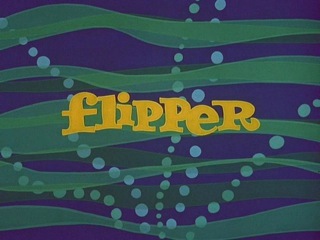 <i>Flipper</i> (1964 TV series) American TV series (1964–1967)