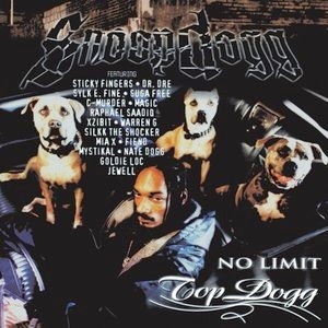 <i>No Limit Top Dogg</i> 1999 studio album by Snoop Dogg