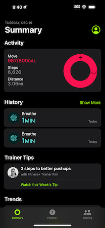 <span class="mw-page-title-main">Fitness (Apple)</span> Mobile application developed by Apple