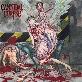 <i>Bloodthirst</i> (album) 1999 studio album by Cannibal Corpse