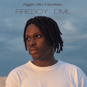 <i>Laughter, Tears and Goosebumps</i> 2019 studio album by Fireboy DML