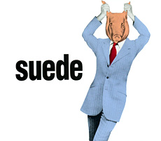 <span class="mw-page-title-main">Animal Nitrate</span> 1993 single by Suede