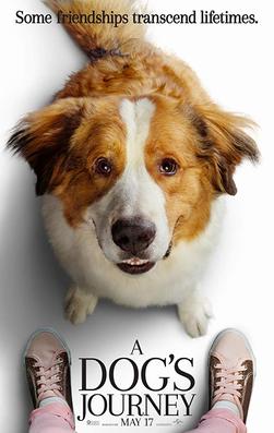 <i>A Dogs Journey</i> (film) 2019 film by Gail Mancuso