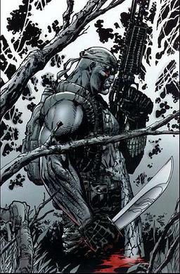 <span class="mw-page-title-main">Deathblow (comics)</span> Comics character