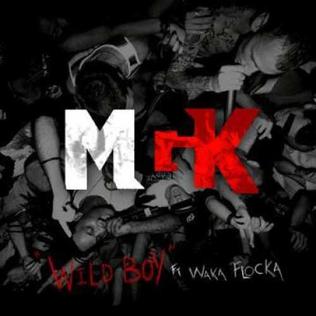 <span class="mw-page-title-main">Wild Boy (song)</span> 2011 single by Machine Gun Kelly featuring Waka Flocka Flame