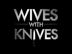 <i>Wives with Knives</i> American TV documentary series (2012–2017)