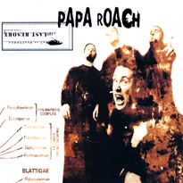 <span class="mw-page-title-main">Last Resort (song)</span> 2000 single by Papa Roach