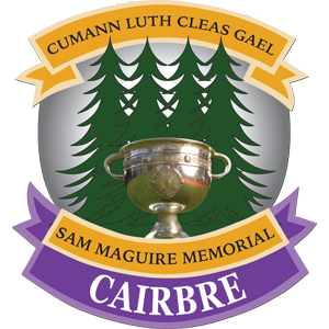 <span class="mw-page-title-main">Carbery GAA</span> Gaelic football and Hurling division in Ireland