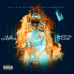 <span class="mw-page-title-main">Shotta Flow</span> 2019 single by NLE Choppa