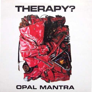 <span class="mw-page-title-main">Opal Mantra</span> 1993 single by Therapy?