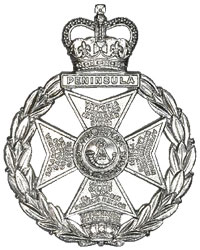 <span class="mw-page-title-main">Royal Green Jackets</span> Military unit