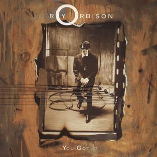 <span class="mw-page-title-main">You Got It</span> 1989 single by Roy Orbison