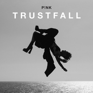 <span class="mw-page-title-main">Trustfall (song)</span> 2023 single by Pink