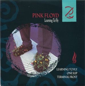 <span class="mw-page-title-main">Learning to Fly (Pink Floyd song)</span> 1987 single by Pink Floyd