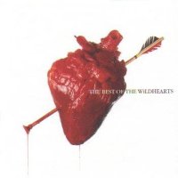 <i>The Best of The Wildhearts</i> 1996 greatest hits album by The Wildhearts