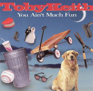 You Aint Much Fun 1995 single by Toby Keith