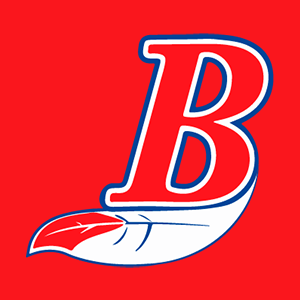 <span class="mw-page-title-main">Indios del Bóer</span> Nicaraguan baseball club