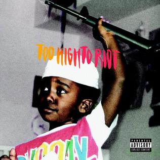 <i>Too High to Riot</i> 2016 studio album by Bas