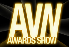 <span class="mw-page-title-main">24th AVN Awards</span>