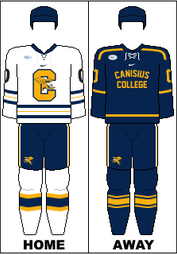 <span class="mw-page-title-main">Canisius Golden Griffins men's ice hockey</span> College ice hockey team