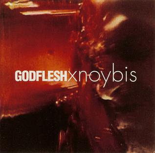 <span class="mw-page-title-main">Xnoybis</span> Song by Godflesh