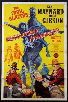 <i>Wild Horse Stampede</i> 1943 film by Alan James