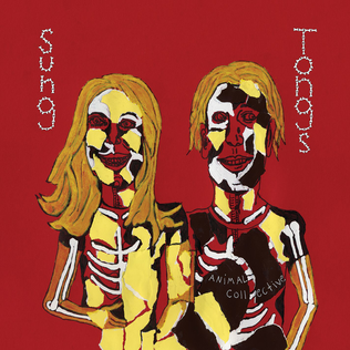 <i>Sung Tongs</i> 2004 studio album by Animal Collective