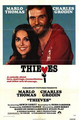 <i>Thieves</i> (1977 film) 1977 film by John Berry