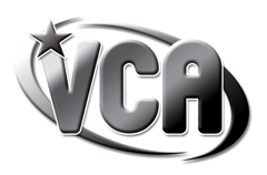 <span class="mw-page-title-main">VCA Pictures</span> American pornographic film company