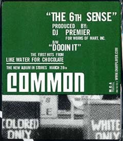 <span class="mw-page-title-main">The 6th Sense</span> 2000 single by Common featuring Bilal