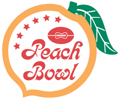 <span class="mw-page-title-main">1981 Peach Bowl (January)</span> College football game