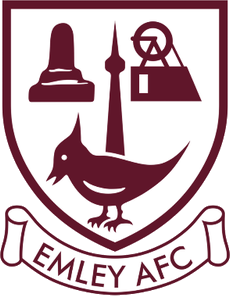 <span class="mw-page-title-main">Emley A.F.C.</span> Association football club in England