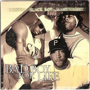 <span class="mw-page-title-main">Bad Boy for Life</span> 2001 single by P. Diddy, Black Rob and Mark Curry