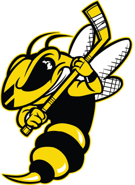 <span class="mw-page-title-main">Battle Creek Rumble Bees</span> Professional ice hockey team