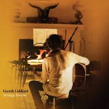 <i>Strange Tourist</i> Gareth Liddiard album