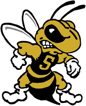 <span class="mw-page-title-main">West Virginia State Yellow Jackets</span> Athletic teams representing West Virginia State University