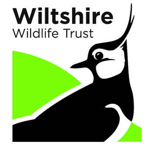 <span class="mw-page-title-main">Wiltshire Wildlife Trust</span>