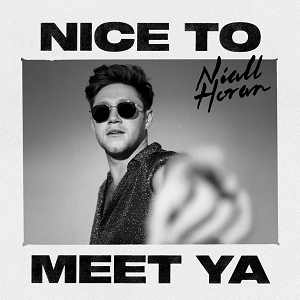 <span class="mw-page-title-main">Nice to Meet Ya (Niall Horan song)</span> 2019 single by Niall Horan