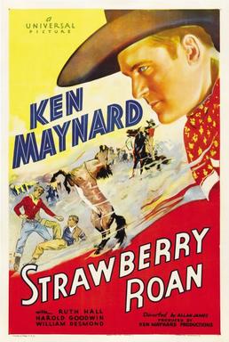 <i>Strawberry Roan</i> (1933 film) 1933 film directed by Alan James