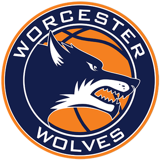 <span class="mw-page-title-main">Worcester Wolves</span> British professional basketball team