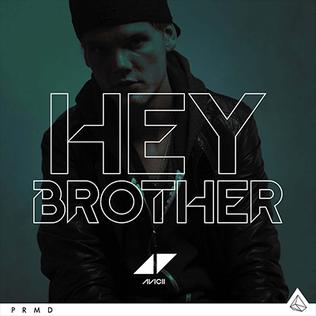 <span class="mw-page-title-main">Hey Brother</span> 2013 song by Avicii