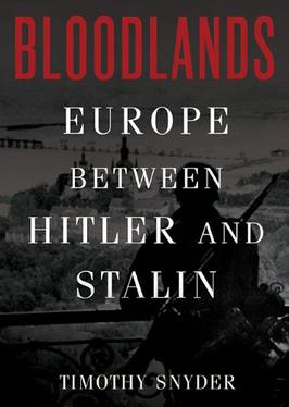 <i>Bloodlands</i> 2010 book by Timothy Snyder