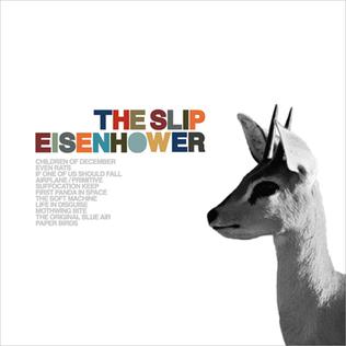 <i>Eisenhower</i> (album) 2006 studio album by The Slip