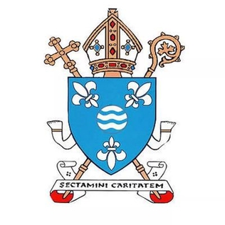 <span class="mw-page-title-main">Roman Catholic Diocese of Motherwell</span> Roman Catholic diocese in Scotland